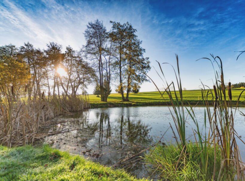 See Alfrédov Golf & Wellness Resort