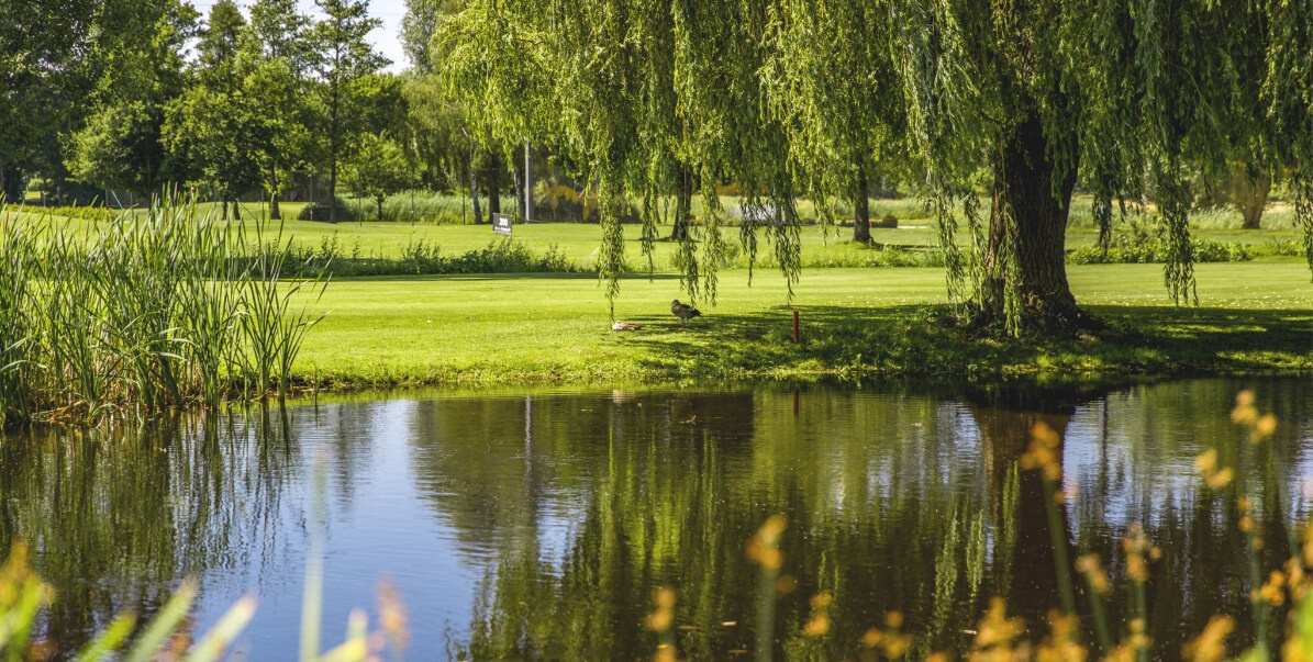 Golfplatz mit Ausblick auf den See des Golfclub Ingolstadt