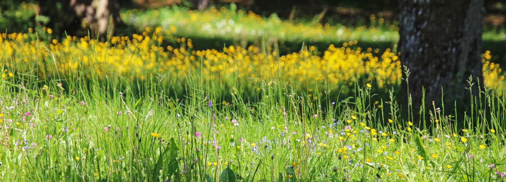 Golf und Regensburg Golf Faszination & Lifestyle Magazin