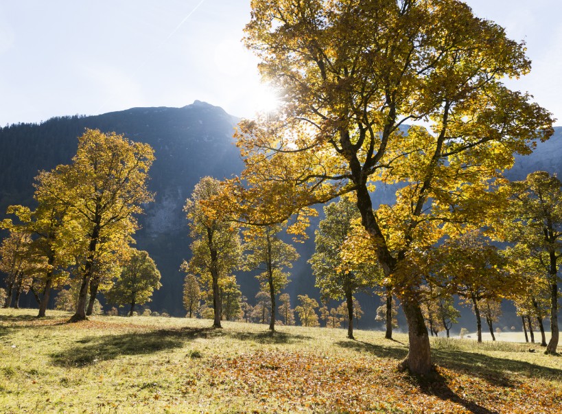 Auszeit im Alpenland