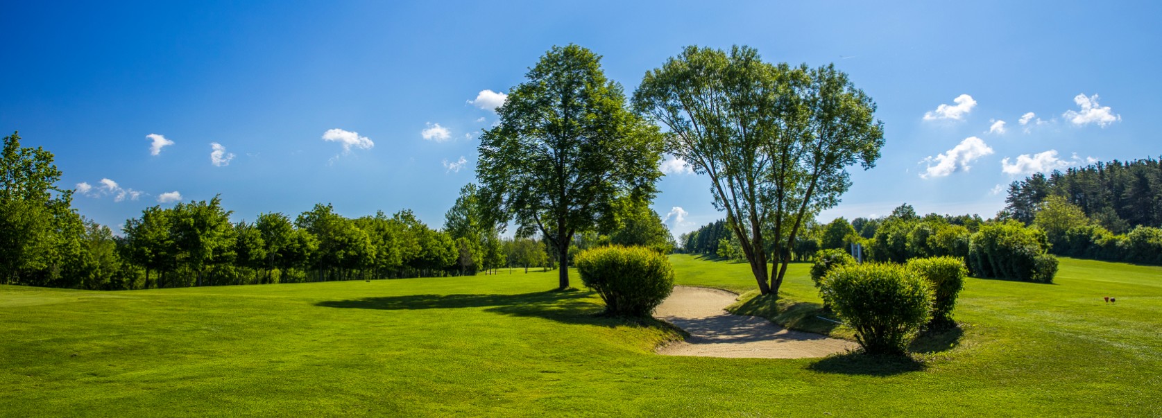 Golf- und Landclub Schmidmühlen