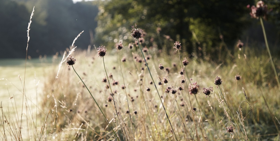 Wittelsbacher Golfclub