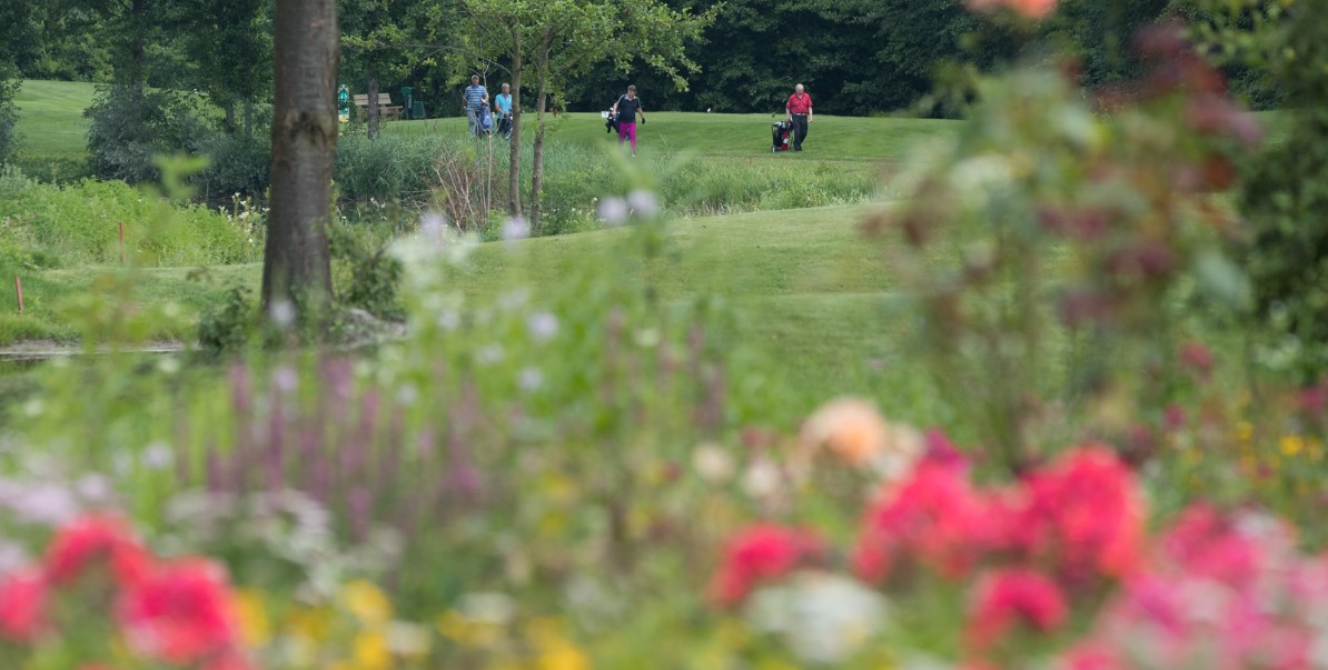 GC Gäuboden