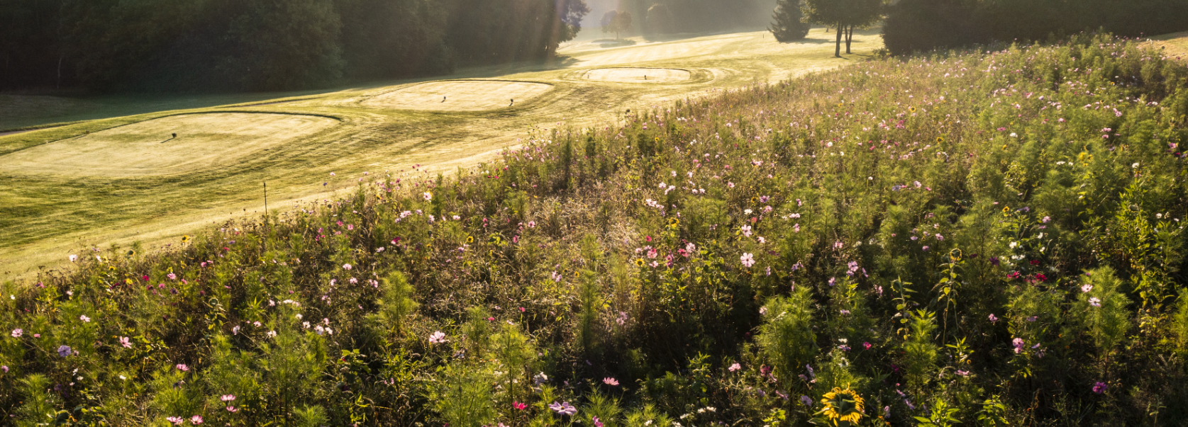 GC Schwanhof