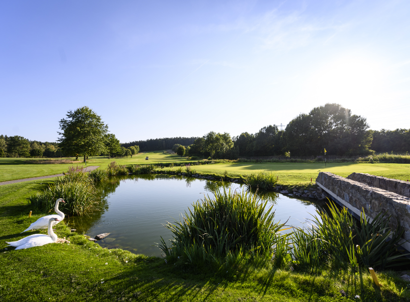 GC Schwanhof