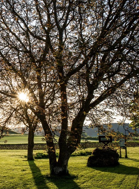Golf und Camping